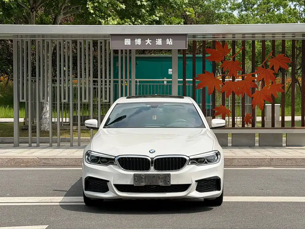 BMW 5 Series — миниатюра 2