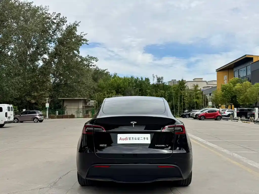 Tesla Model Y — миниатюра 5
