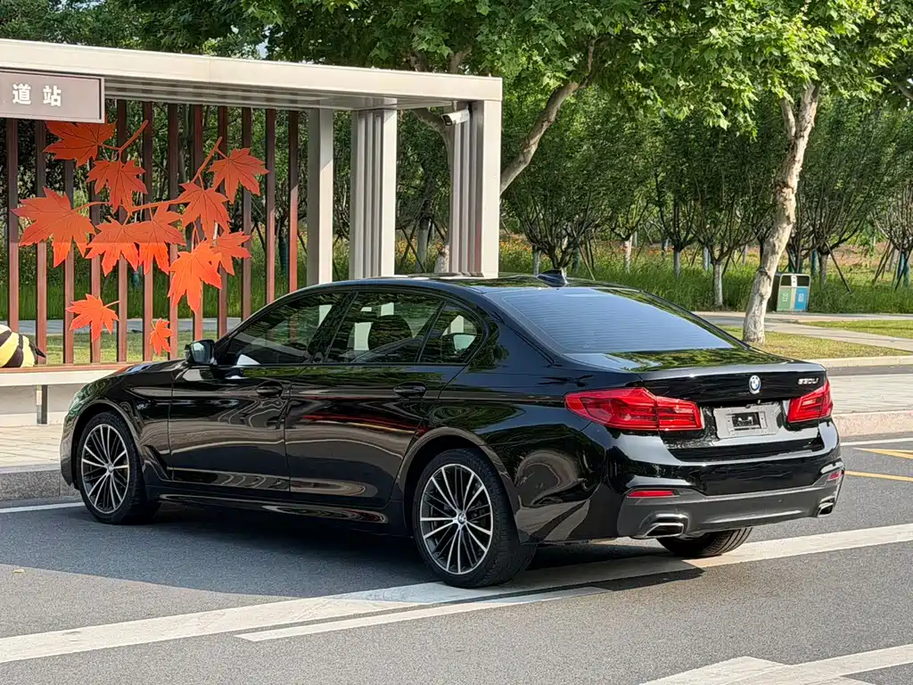 BMW 5 Series — миниатюра 9