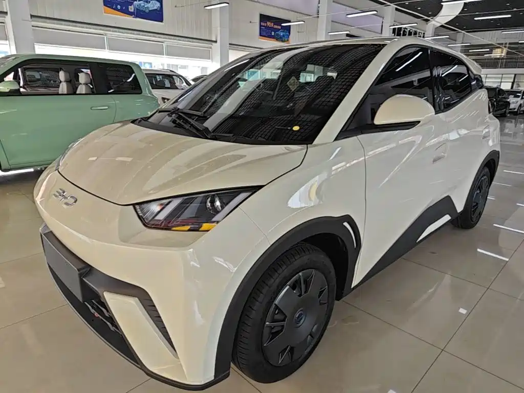 BYD Seagull