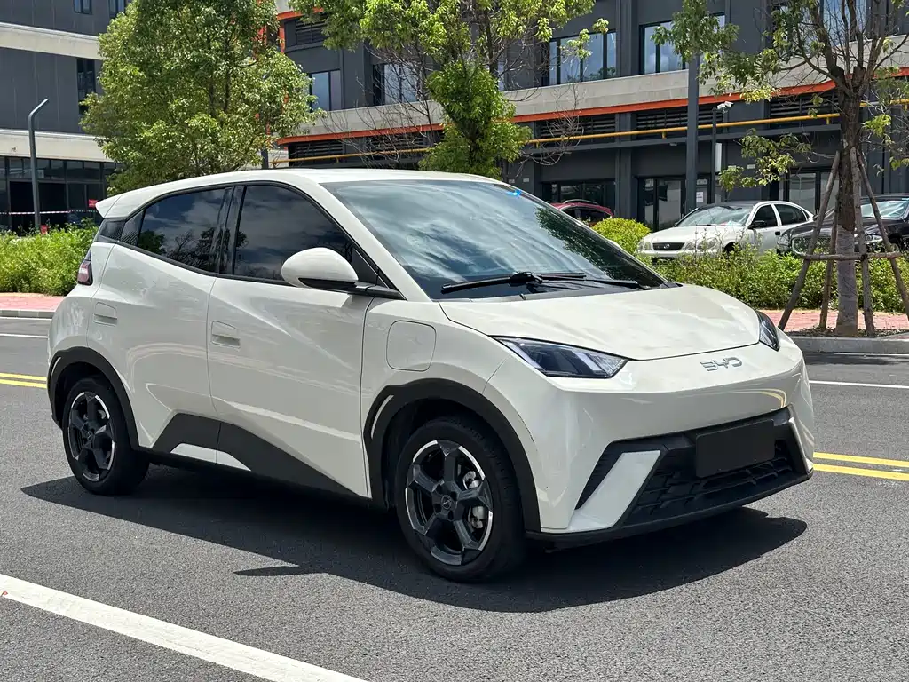 BYD Seagull 2024 305km Freedom