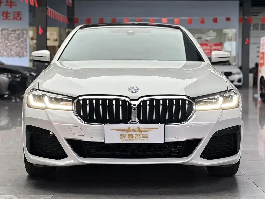 BMW 5 Series — миниатюра 2