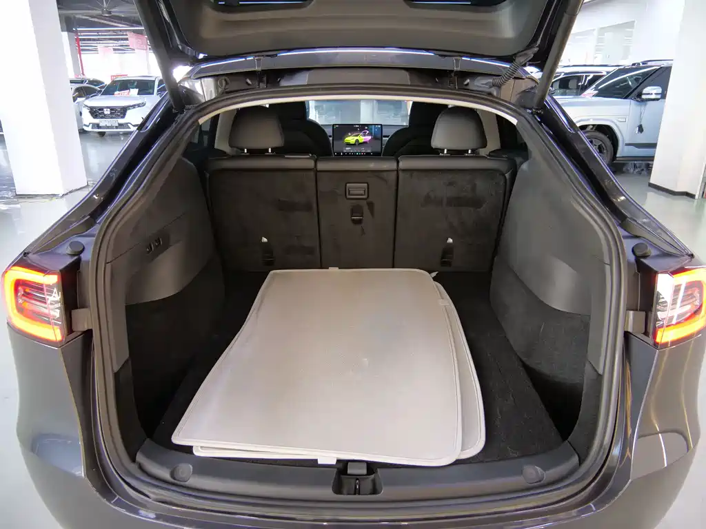 Tesla Model Y — миниатюра 18