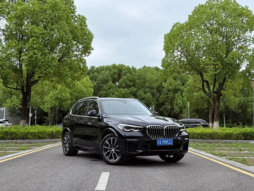 BMW X5 2022 xDrive30i M Sport