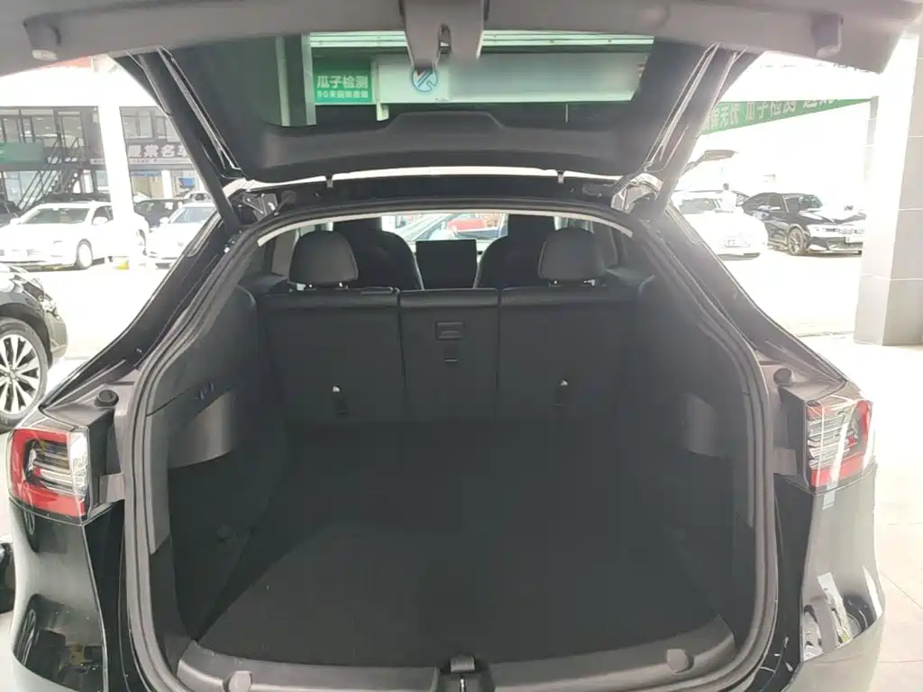 Tesla Model Y — миниатюра 19