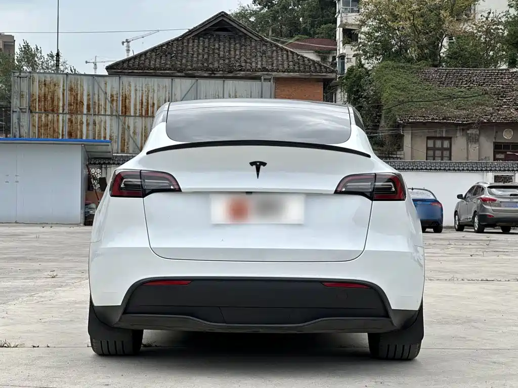 Tesla Model Y — миниатюра 6
