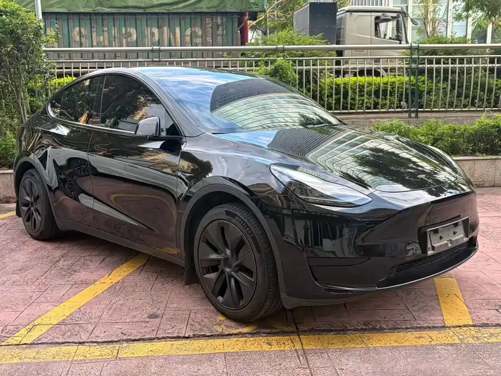 Tesla Model Y — миниатюра 3
