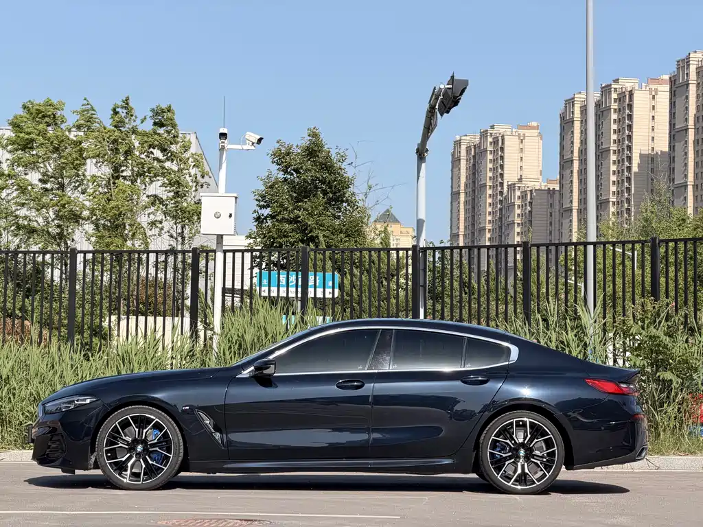 BMW 8 Series 840i 4-door Coupe M Sport Package, фото 3