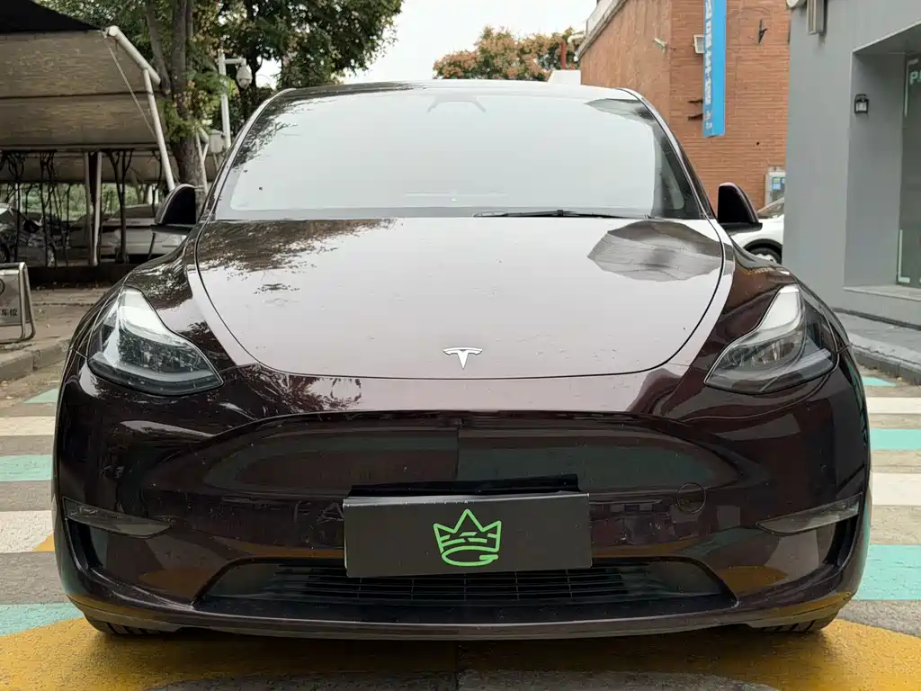 Tesla Model Y — миниатюра 2