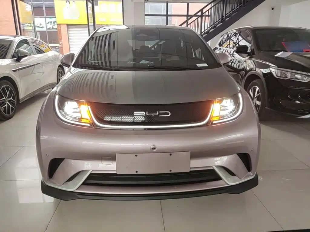 BYD Dolphin — миниатюра 3