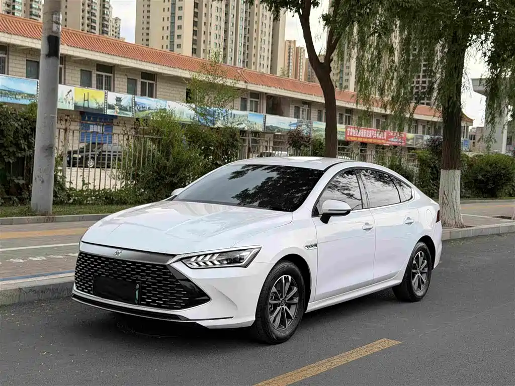 BYD Qin Plus 2024 Glory Edition DM-i 55KM Leading Type