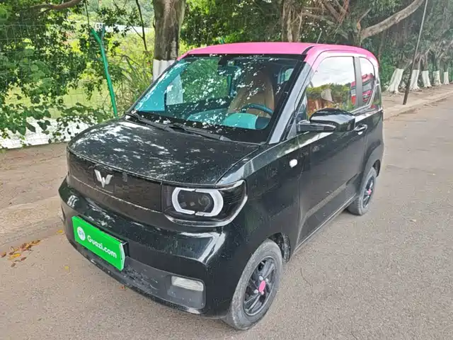 2020 Wuling Motors Hongguang Mini EV