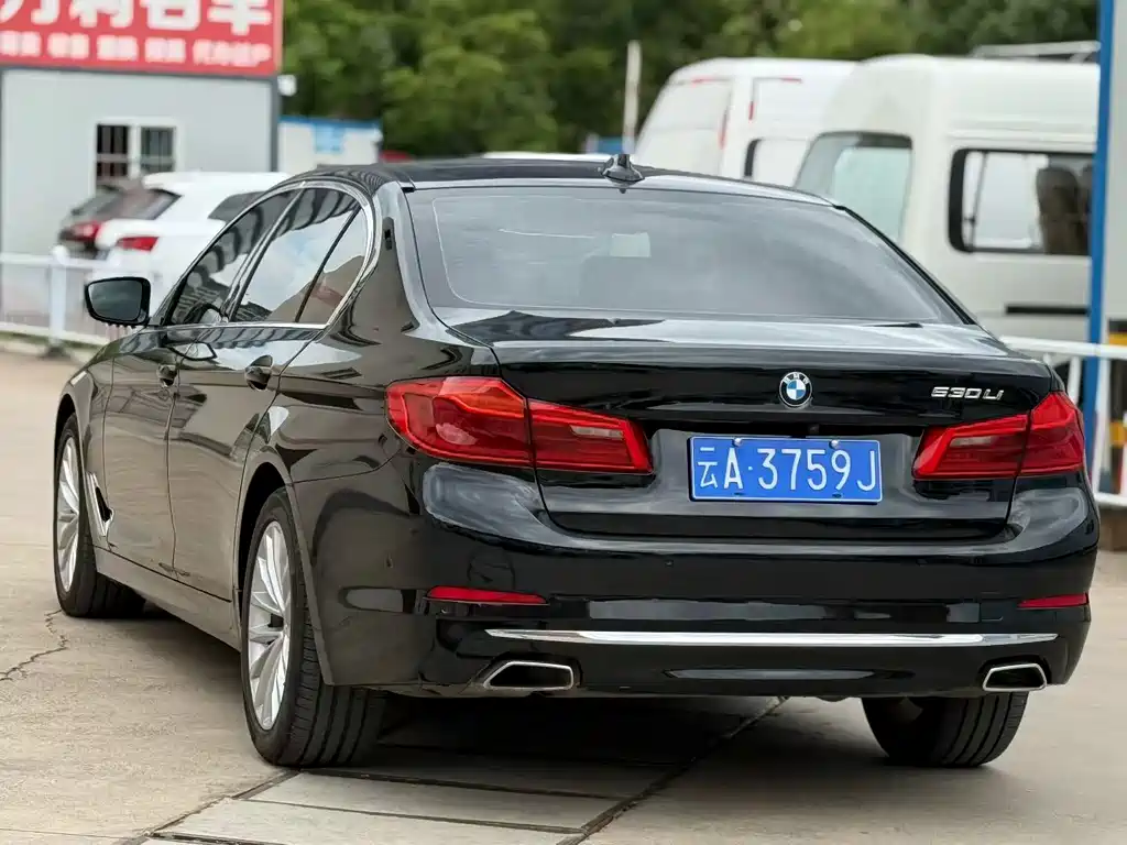 BMW 5 Series 5 2020 530Li Premium Luxury