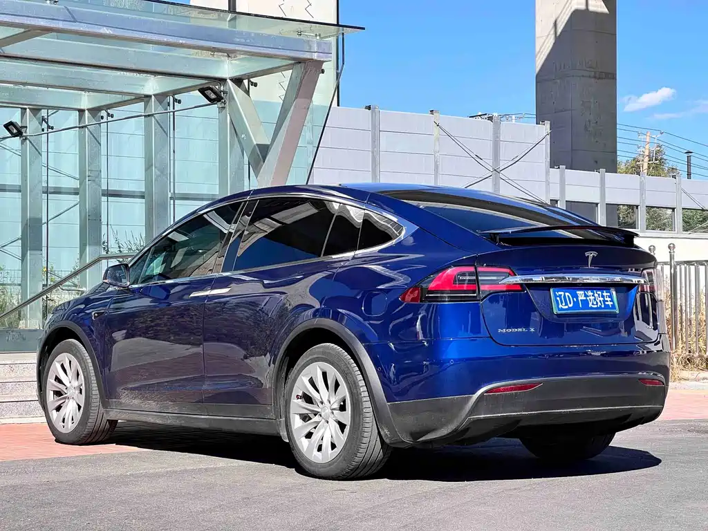 Tesla Model X — миниатюра 6