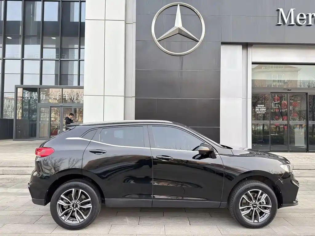 WEI PAI WEI BRAND VV5