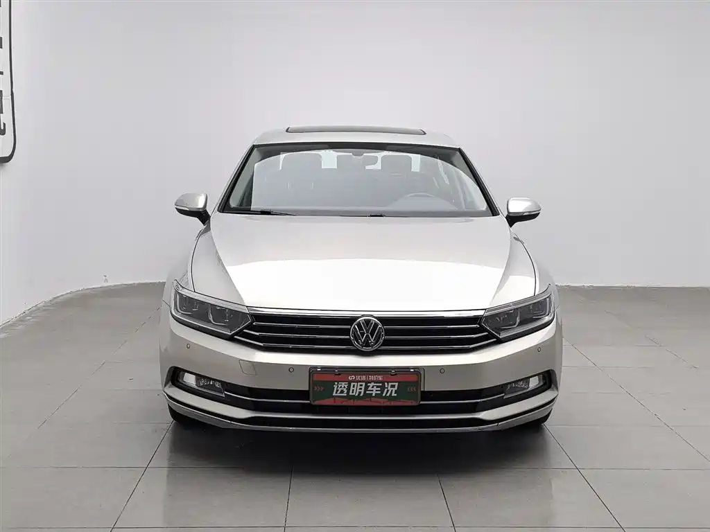 Volkswagen Magotan 2019 330TSI DSG Luxury VI