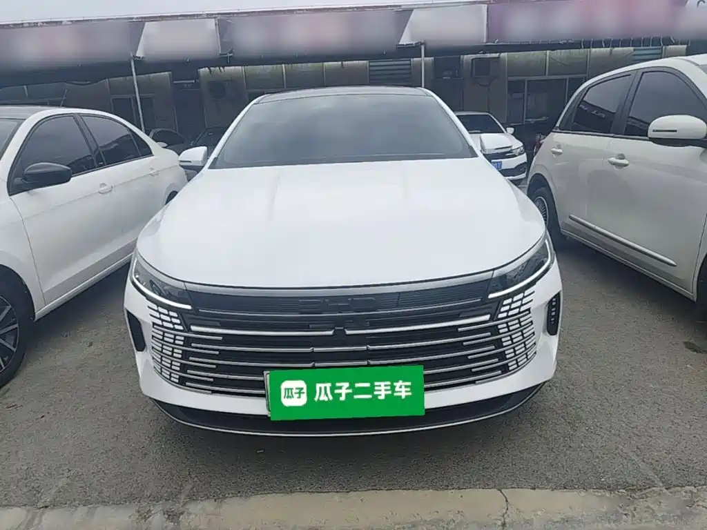 BYD Destroyer 05 2024 — фото 2