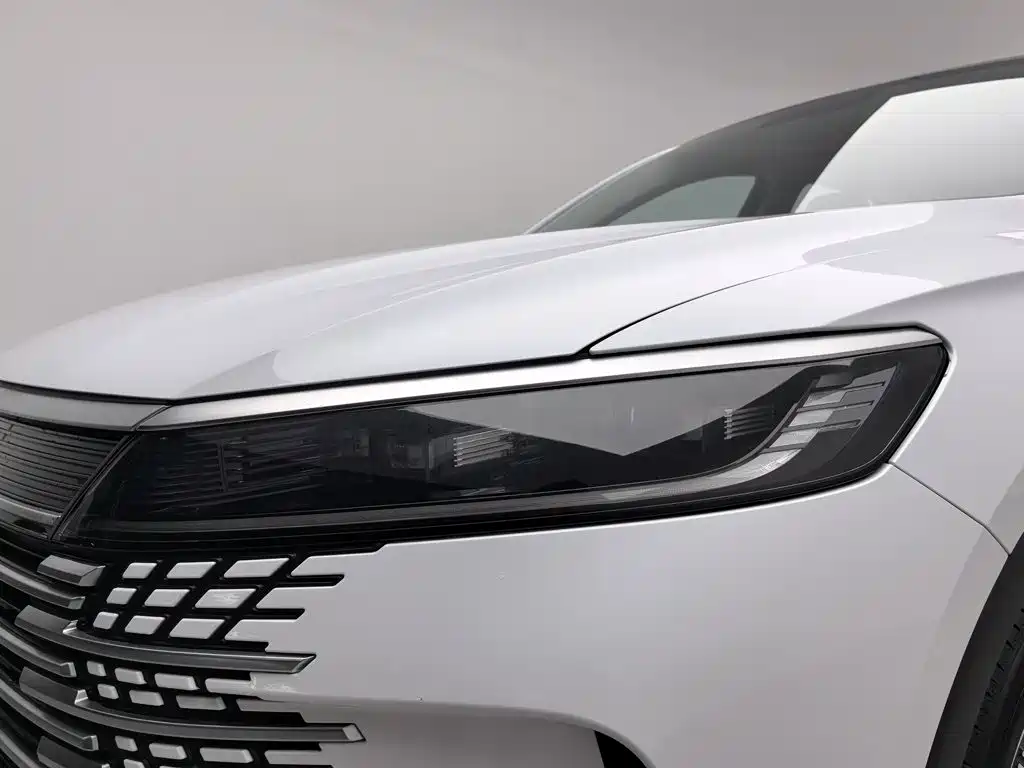 BYD Sealion 05 DM-i — миниатюра 7