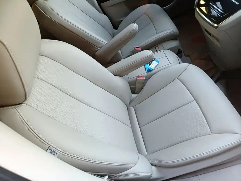 Buick GL8 — миниатюра 25