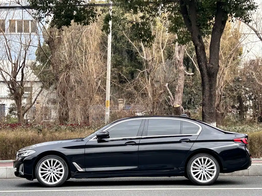 BMW 5 Series 5 2021 530Li Premium Luxury