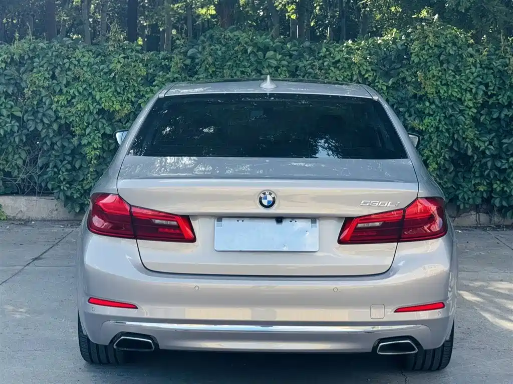 BMW 5 Series 5 2019 530Li Premium Luxury