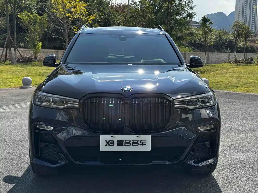 BMW X7 — миниатюра 2