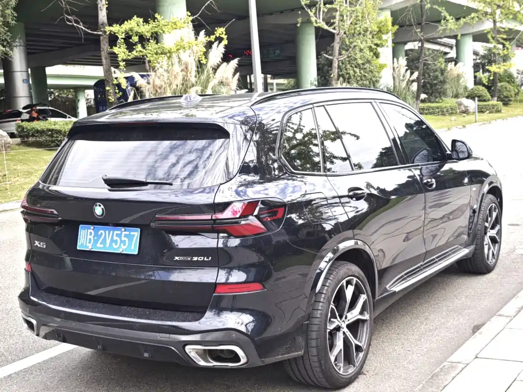 BMW X5 — миниатюра 8