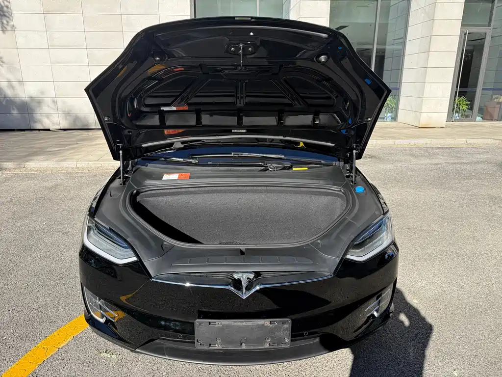 Tesla Model X — миниатюра 18