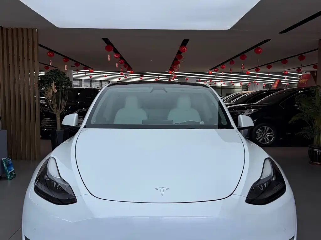 Tesla Model Y — миниатюра 3