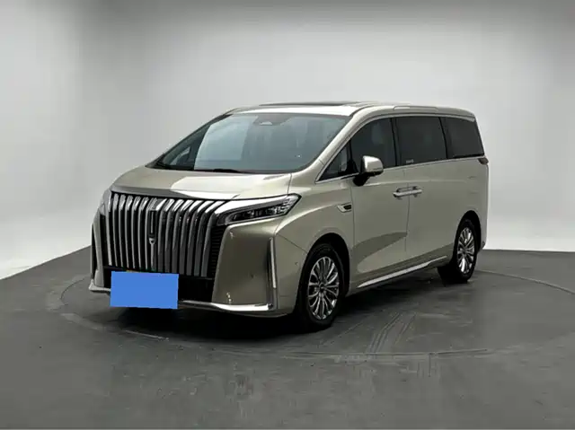 2024 Wey Gaoshan
