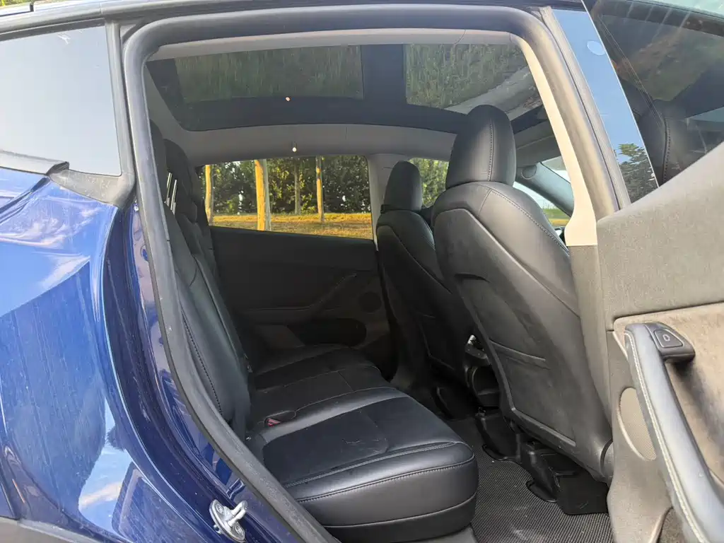 Tesla Model Y — миниатюра 8