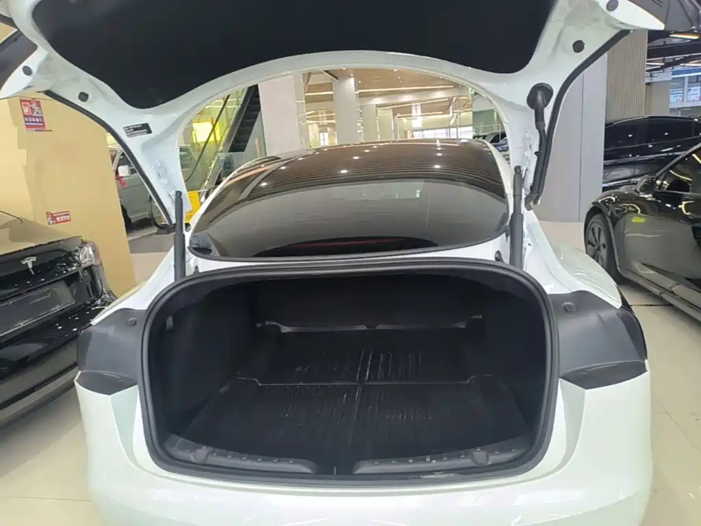 Tesla Model 3 — миниатюра 19