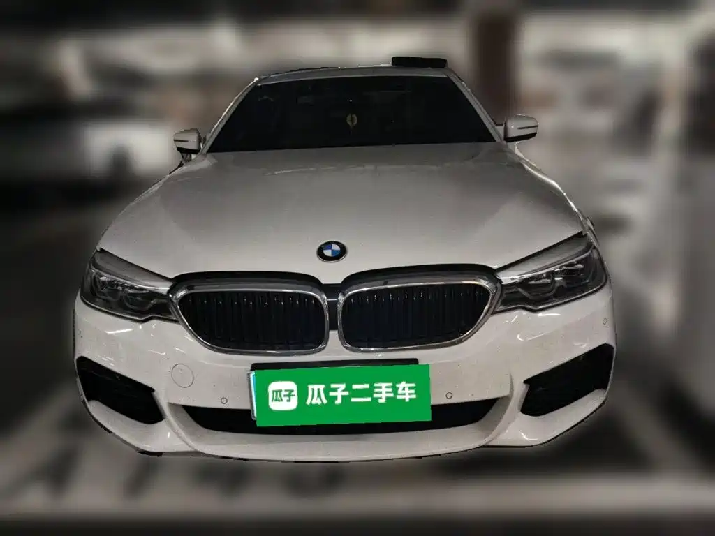 BMW 5 Series (Import) — миниатюра 2