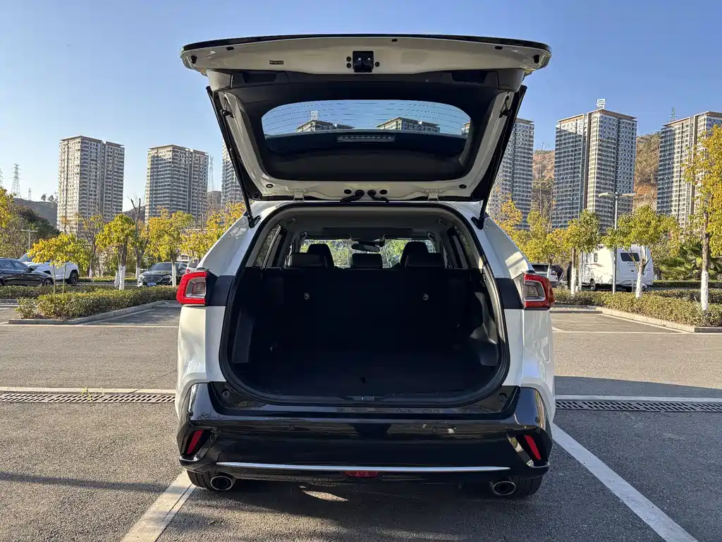 TOYOTA WEILANDA NEW ENERGY