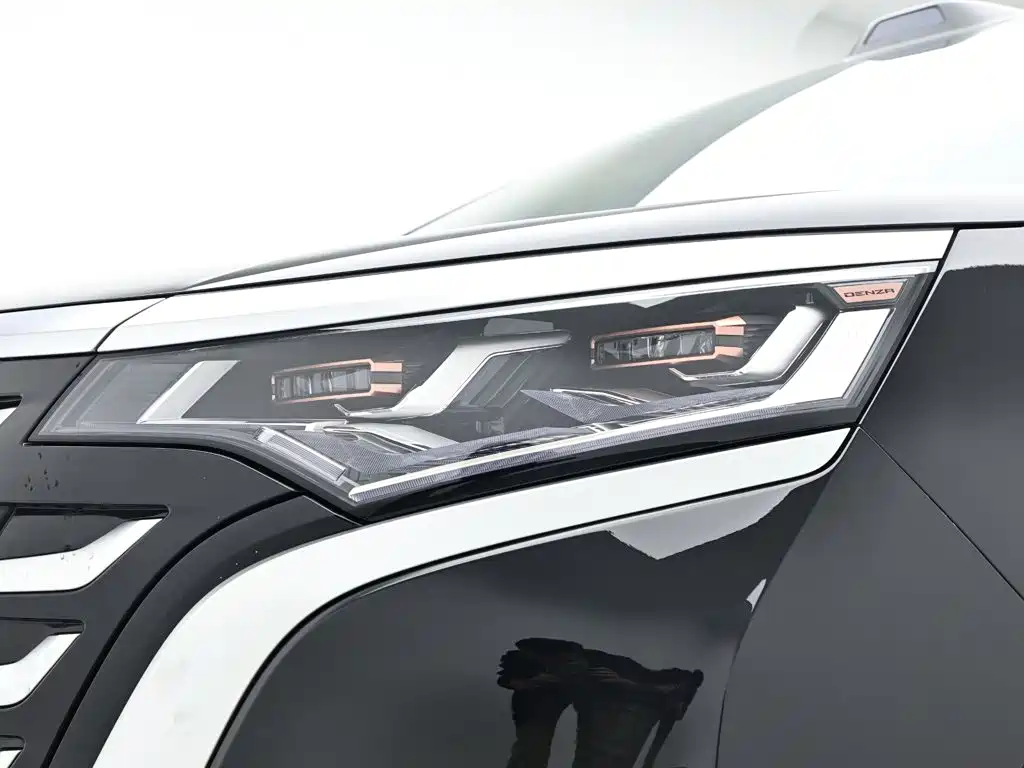 Denza Denza D9 — миниатюра 10