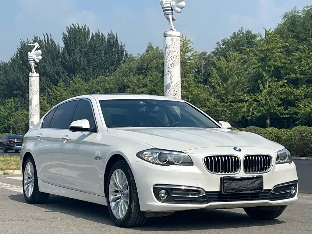 BMW 5 Series — миниатюра 3