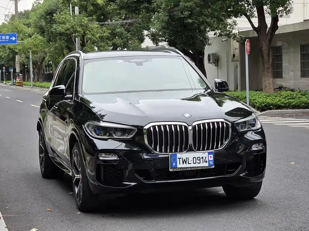 BMW X5 (Import) — миниатюра 3