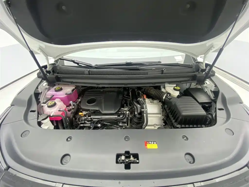 SAIC MAXUS EVERYONE 7