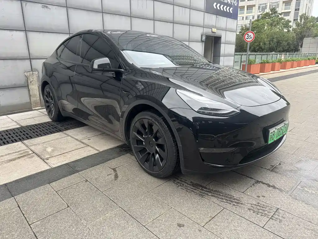 Tesla Model Y — миниатюра 3