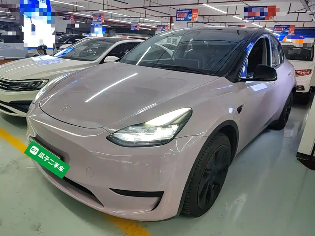 Tesla Model Y — миниатюра 2