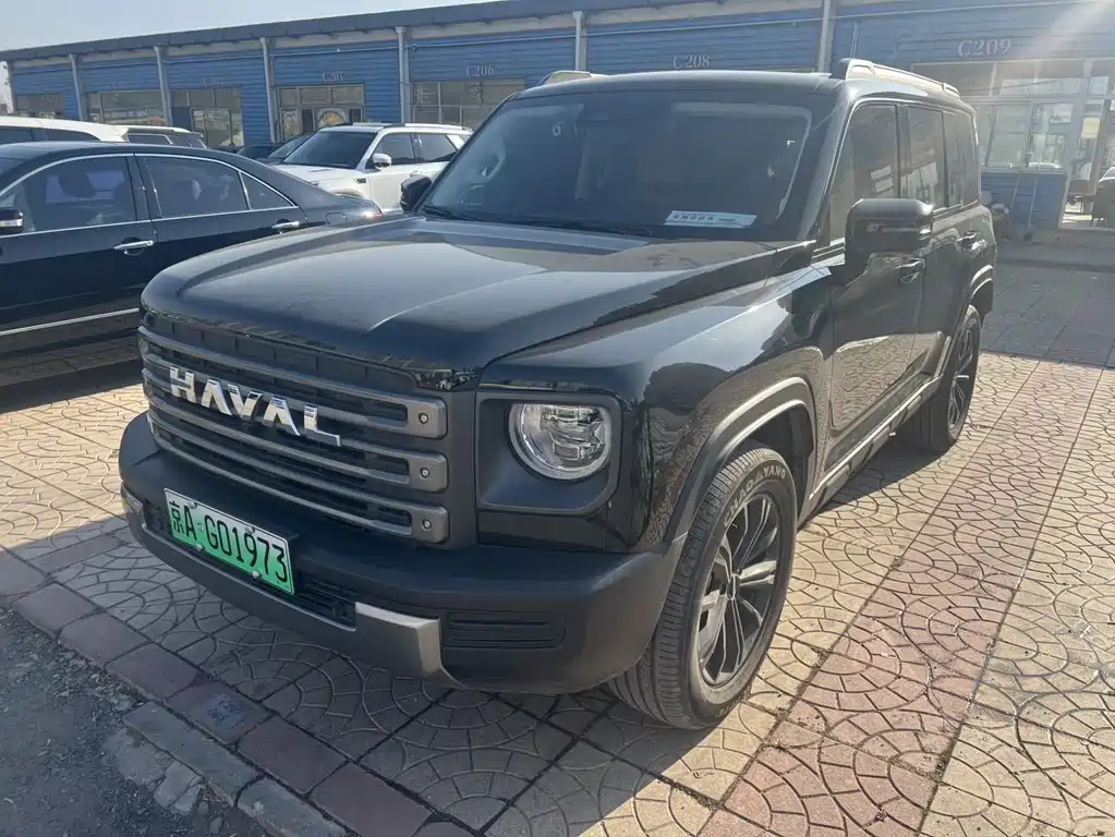 HAVAL RAPTORS NEW ENERGY