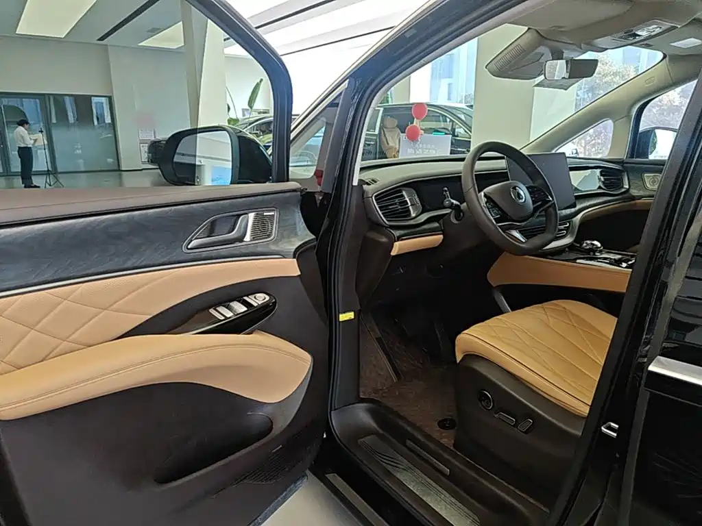 Denza Denza D9 — миниатюра 16