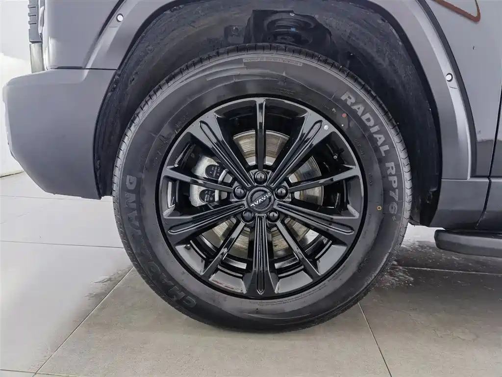 Haval Raptor PHEV — фотографии объявления, Фото 17