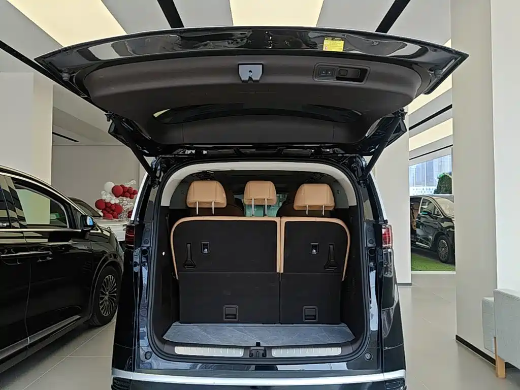 Denza Denza D9 — миниатюра 19