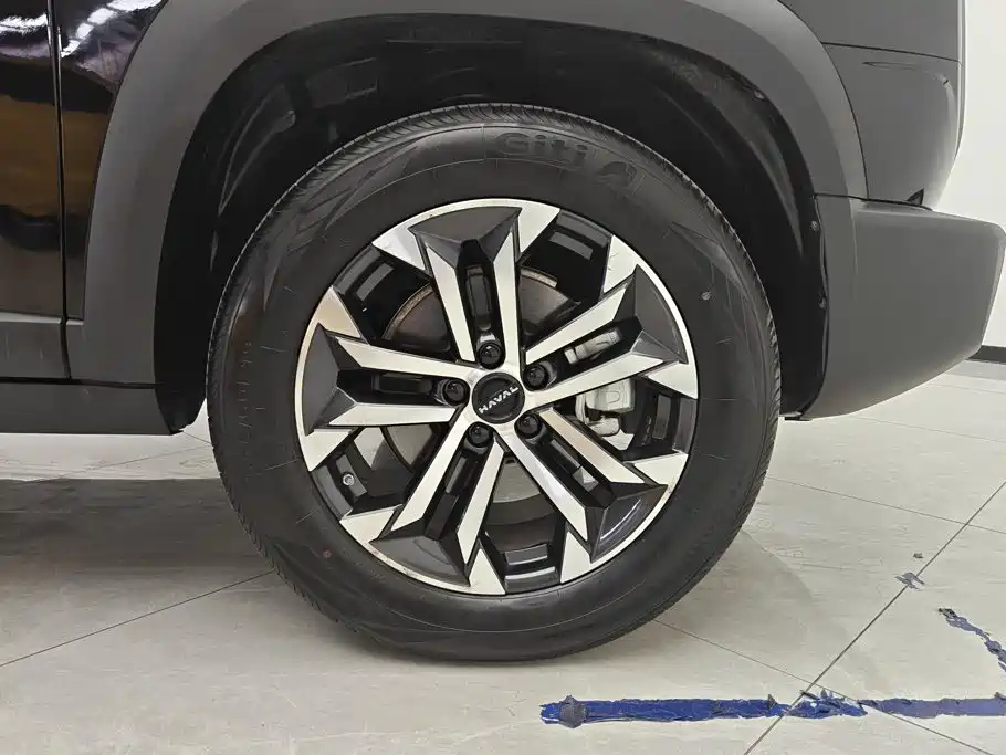 Haval 长城大狗 — миниатюра 6