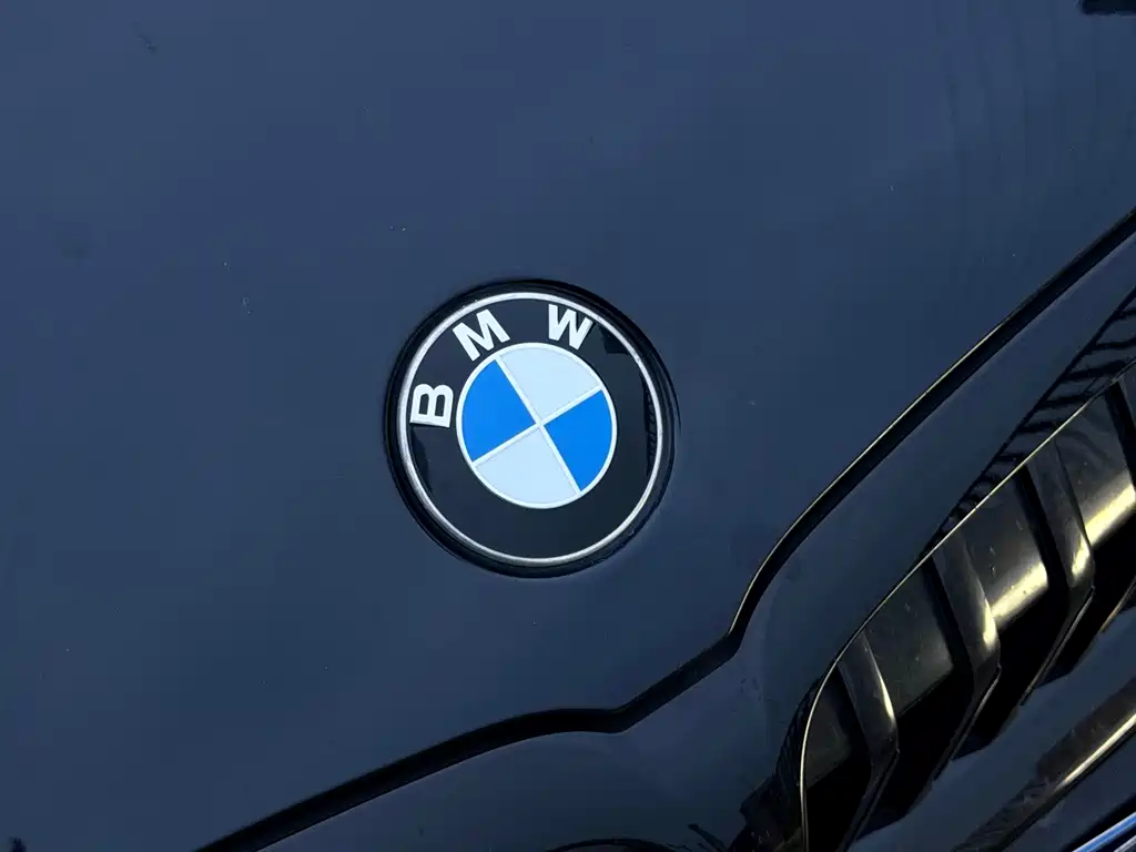 BMW 3 Series — миниатюра 14