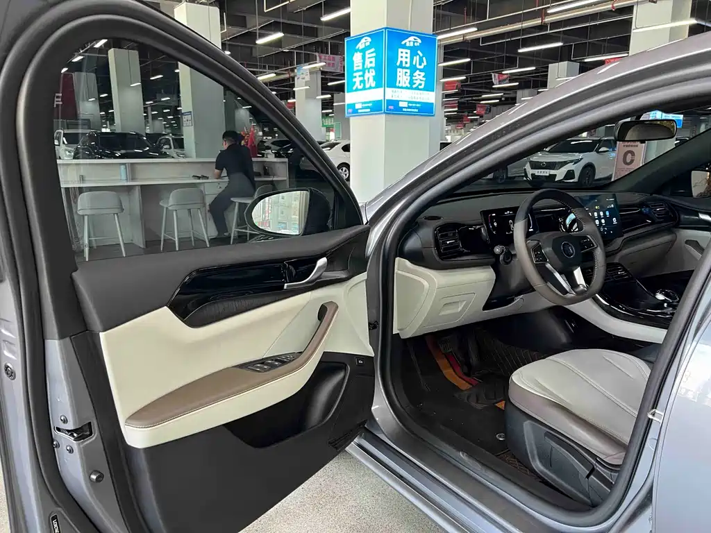 BYD Qin Plus PLUS 2024 DM-i 55KM Lead