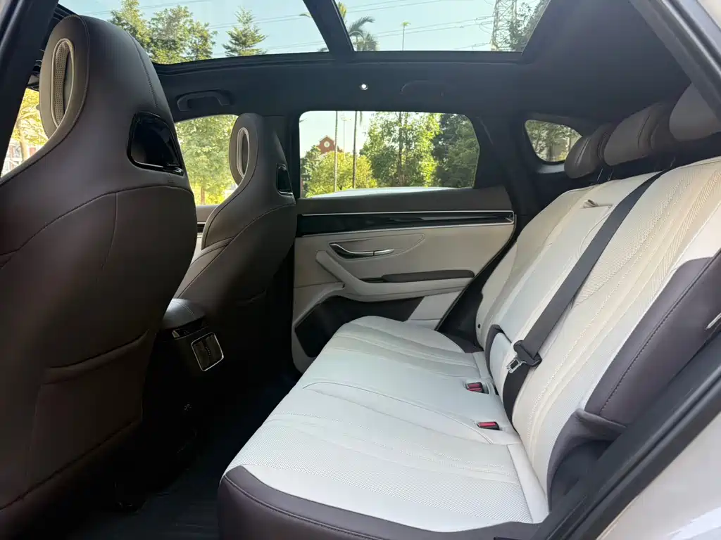 BYD SONGJIANG NEW ENERGY