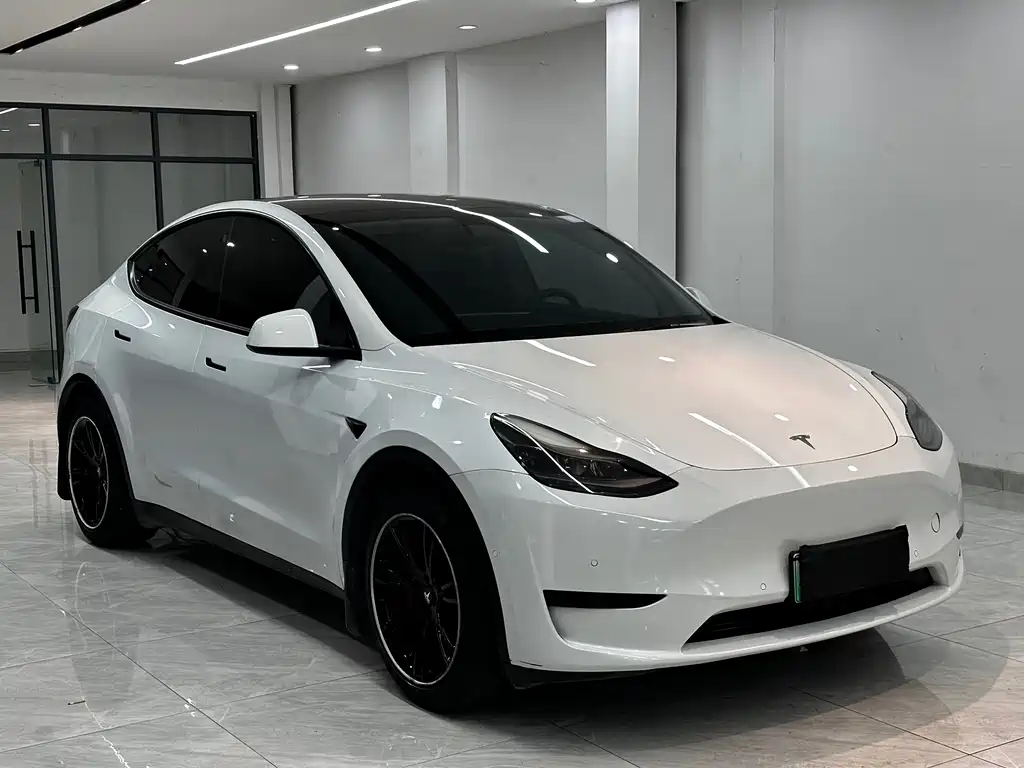 Tesla Model Y — миниатюра 3