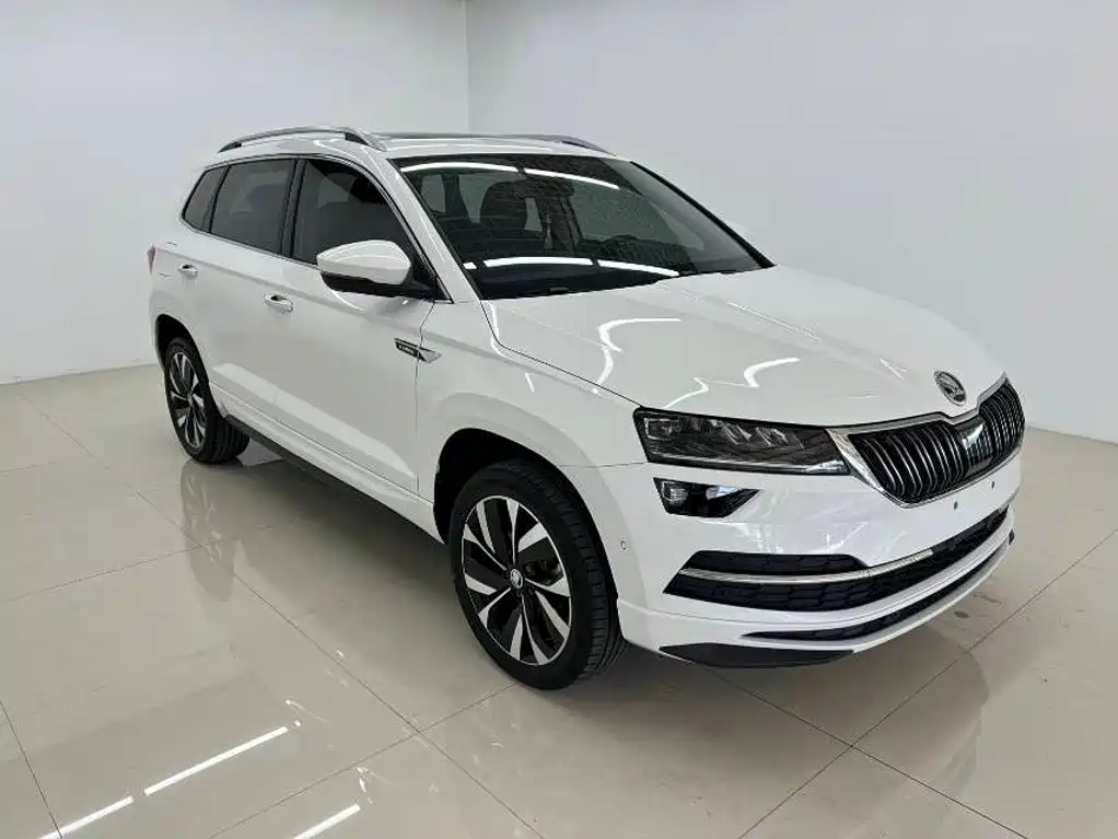Skoda Karoq — миниатюра 3